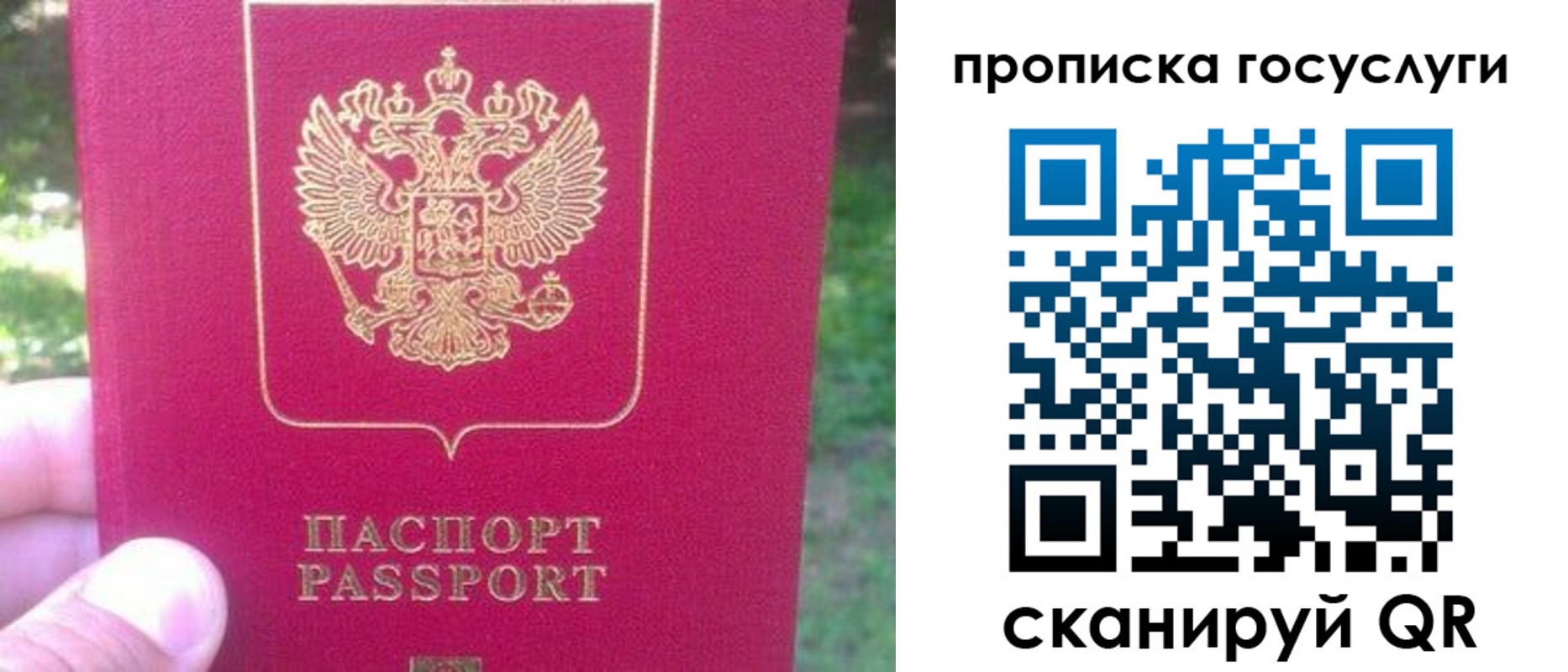 временная регистрация собственник в Ингушетии